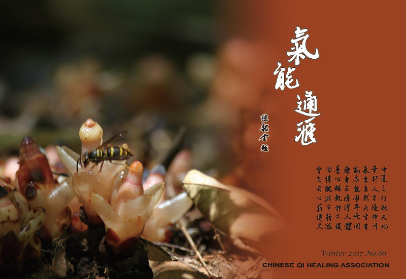會刊第66期封面