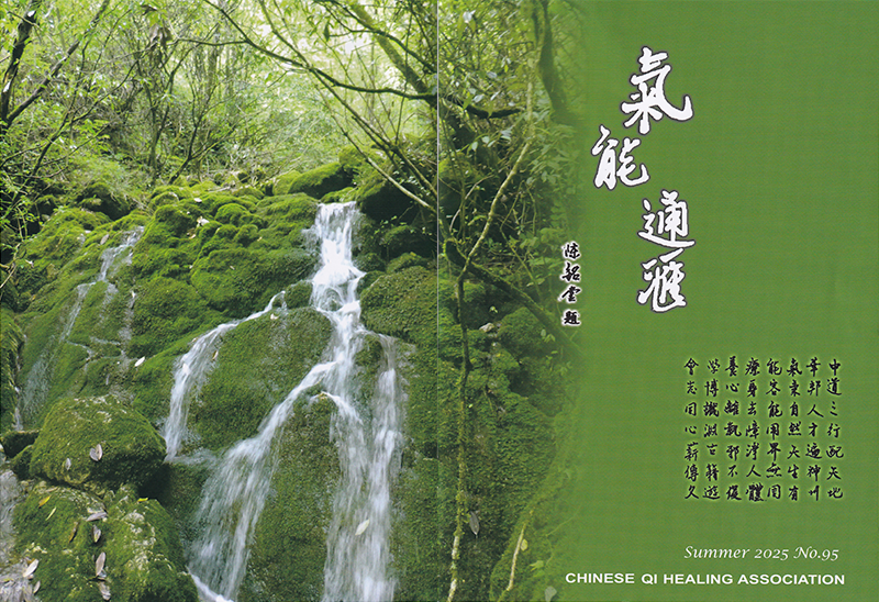 會刊第95期封面