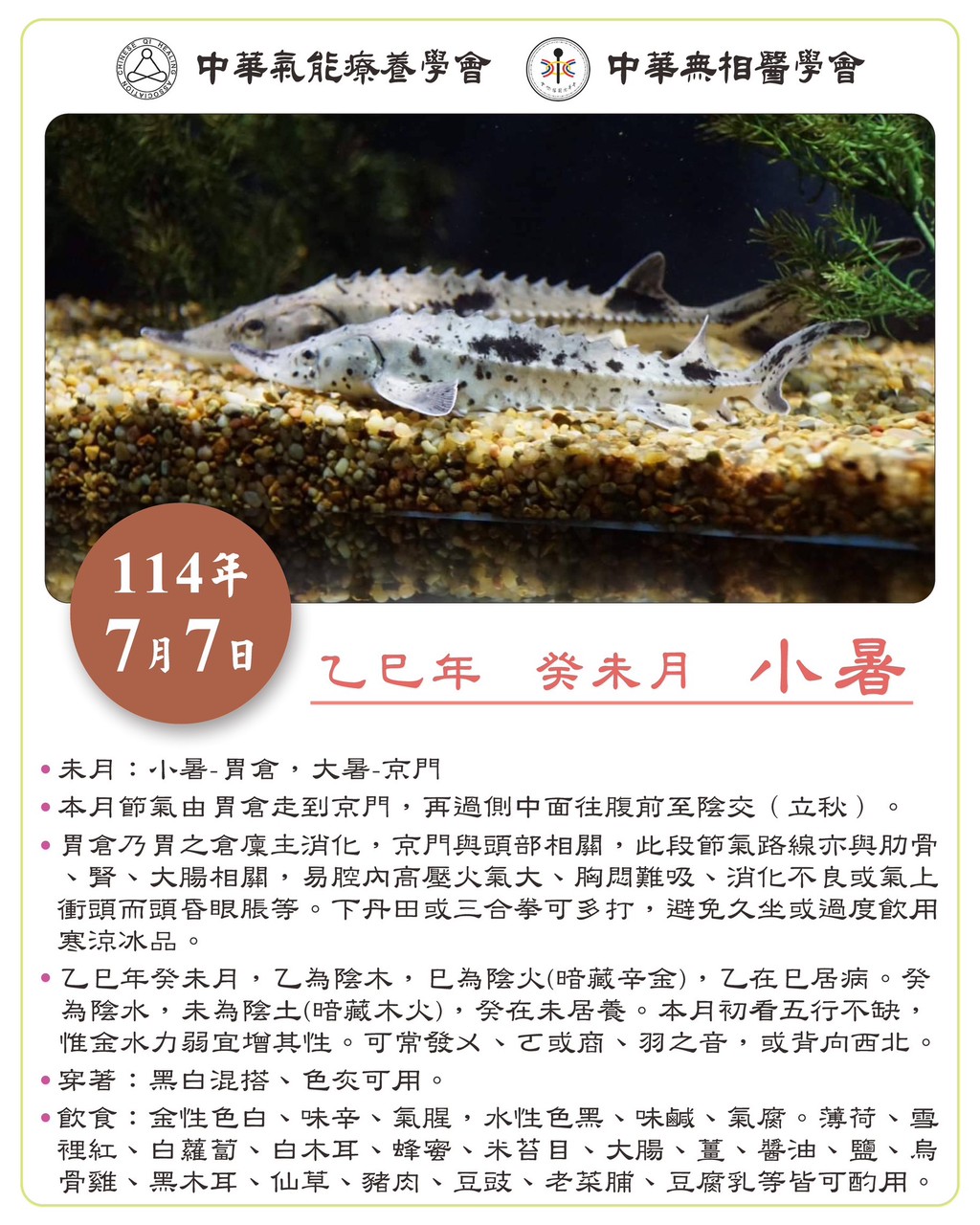 乙巳年癸未月 小暑